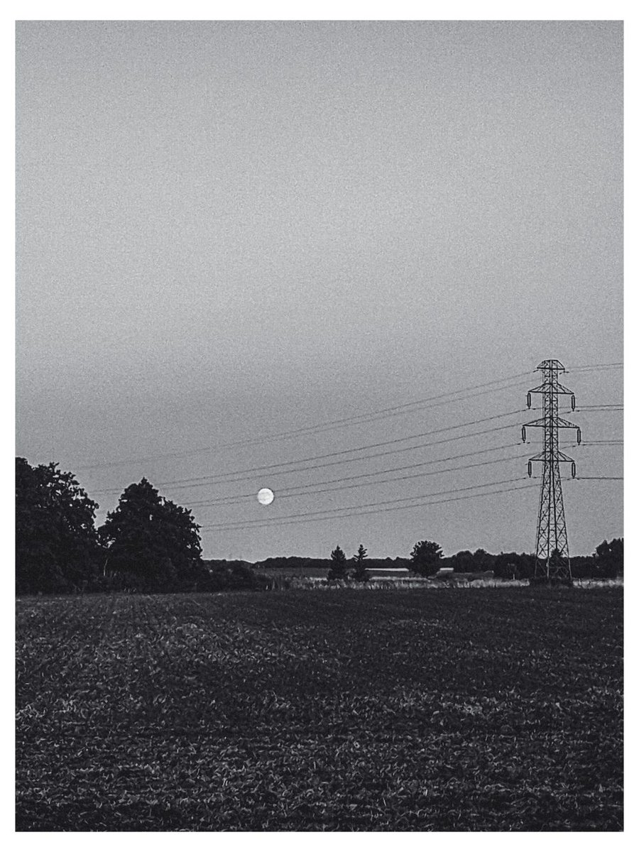 Jack Beatnic tweet media