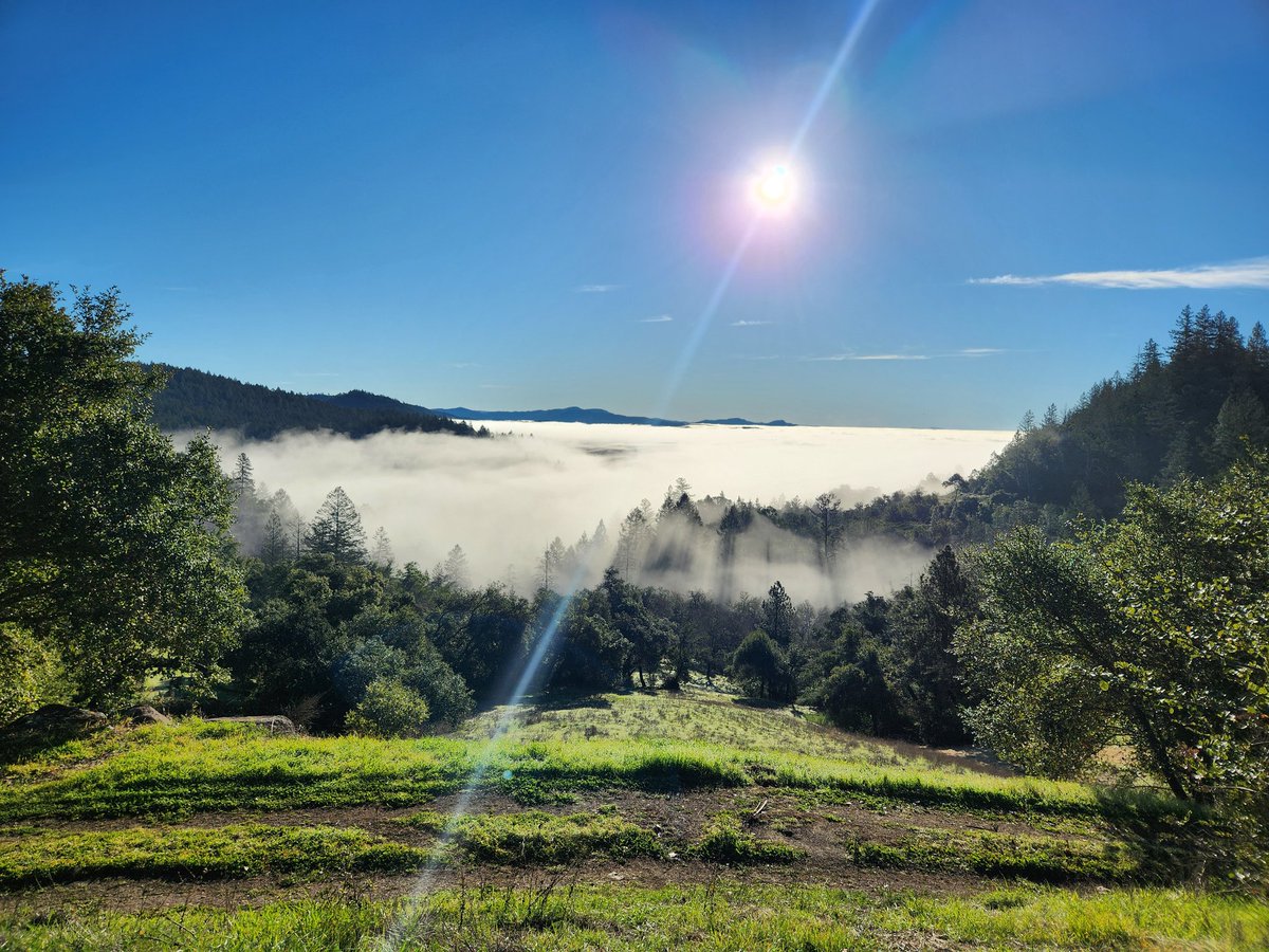 Life is different when you live above the BS and noise of unimportant people.... Some things money can't buy #CloserToMyDreams