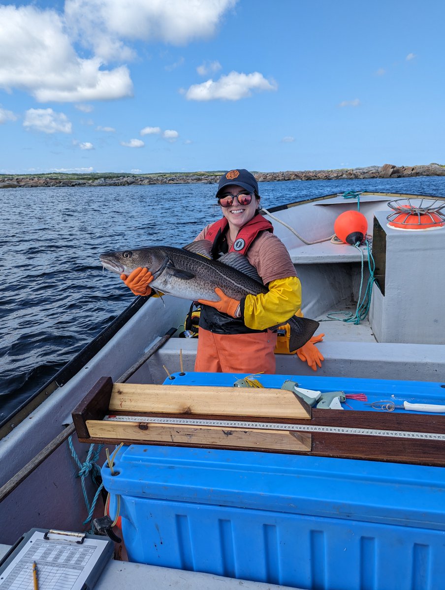 Fisheries and Oceans tweet media