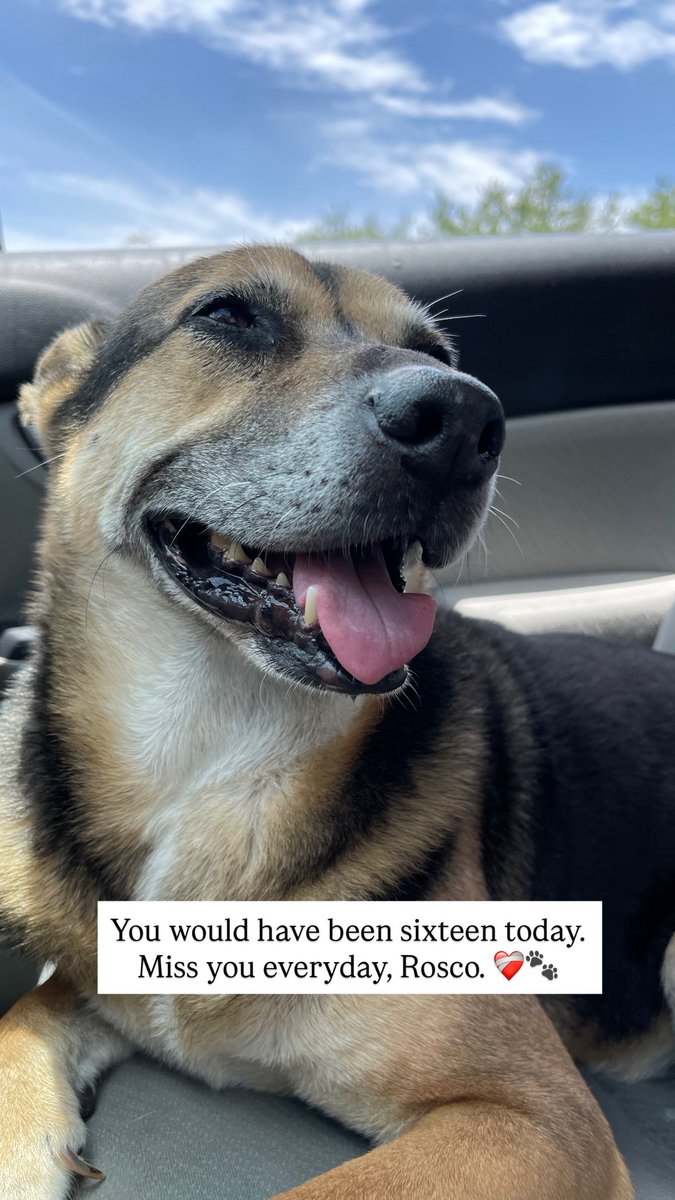 J.S. Park 박준 tweet media