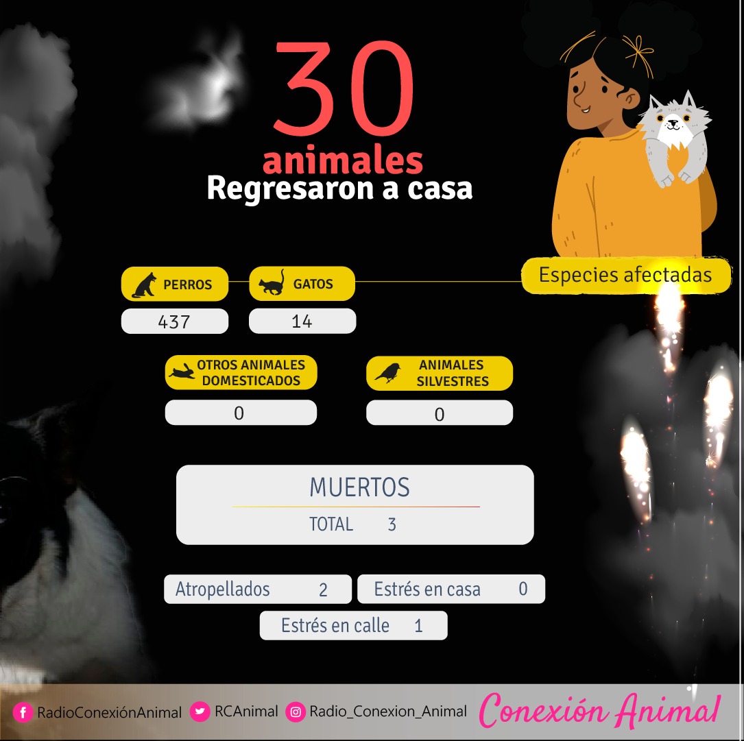 RCAnimal's tweet image. 📌 Campaña de Regreso a Casa - Boletín #2: Día de velitas.

El día de las velitas en Cali dejó 110 animales afectados por la pólvora sonora, 18 casos más que el año 2024. En lo corrido de diciembre llevamos 451 animales reportados por diferentes afectaciones 🧵