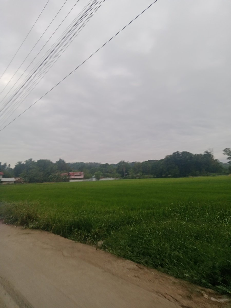 vero (@scinica_) on Twitter photo 