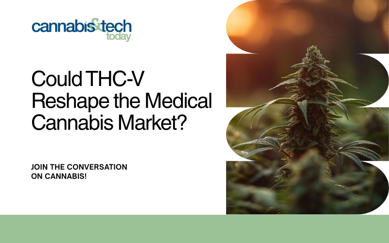 cannatechtoday's tweet image. Researchers are zeroing in on THC-V, a cannabinoid that may curb appetite, boost metabolism, and help regulate blood sugar

Could this be the next breakthrough in therapeutic cannabis?

Read more: cannatechtoday.com/could-thc-v-re…

#THCV #CannabisResearch #MedicalCannabis #MetabolicHealth