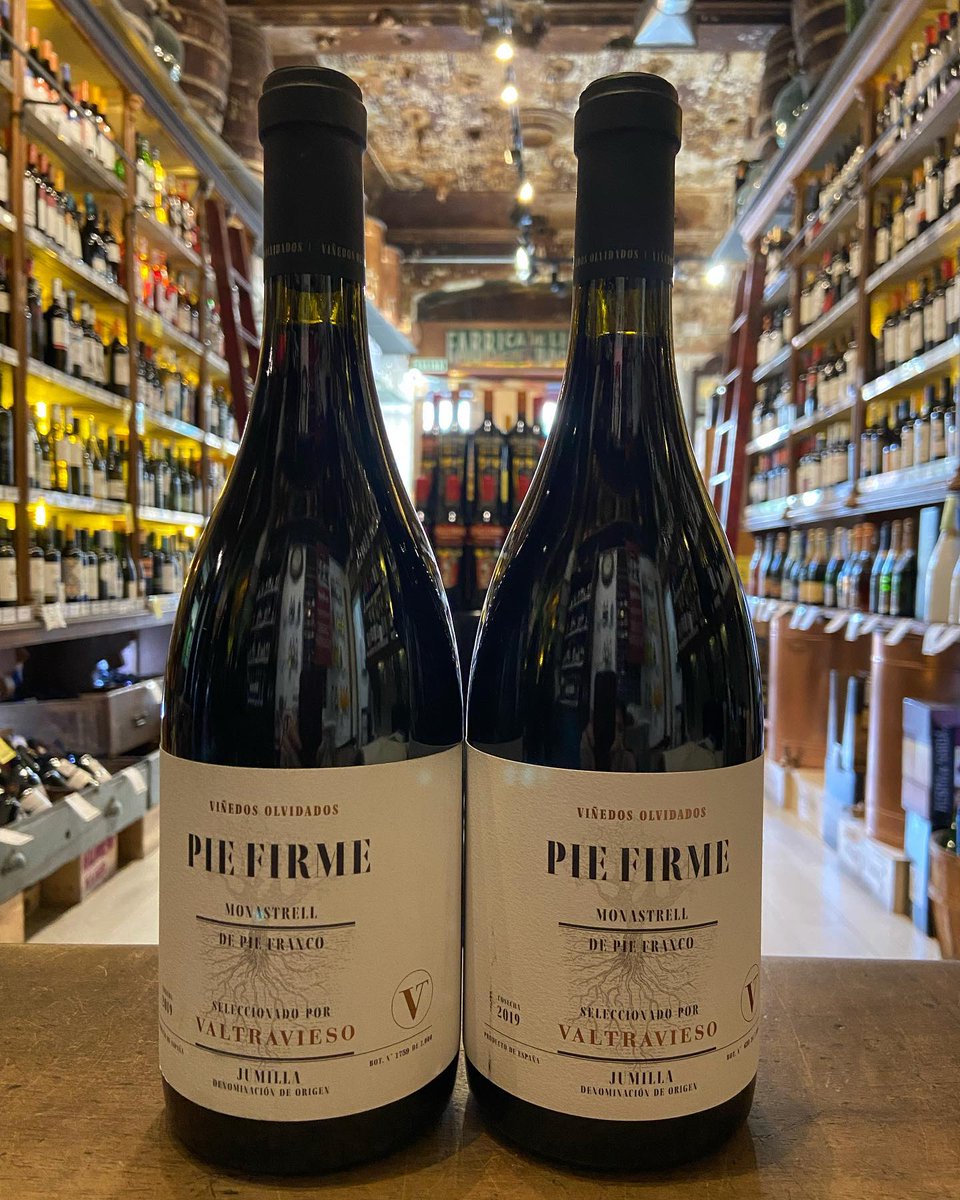 🍷 Diciembre en <a href="/GastroMadrid_/">Gastro Madrid</a> y toca mirar hacia quienes entienden el vino como memoria líquida. <a href="/MarianoMadrueno/">Mariano Madrueño</a> se convierte en nuestra tienda madrileña del mes: una institución centenaria que ha visto crecer la ciudad, sus calles… y su cultura del brindis.

🍇 Su historia