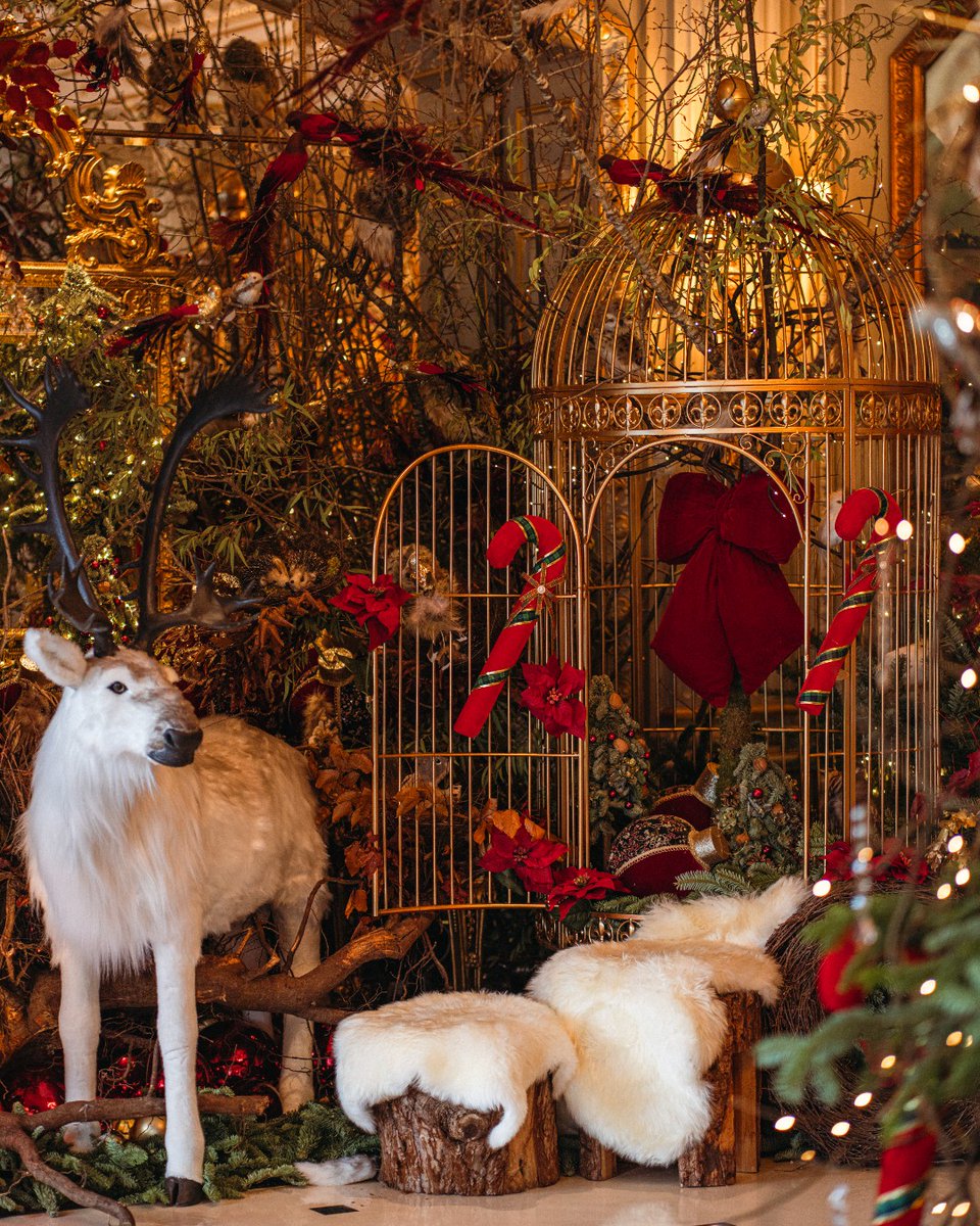 Four Seasons Hotel des Bergues Geneva tweet media