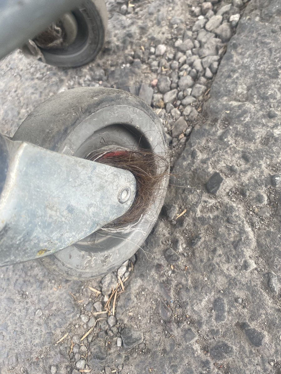 Maravill - Ita tweet media