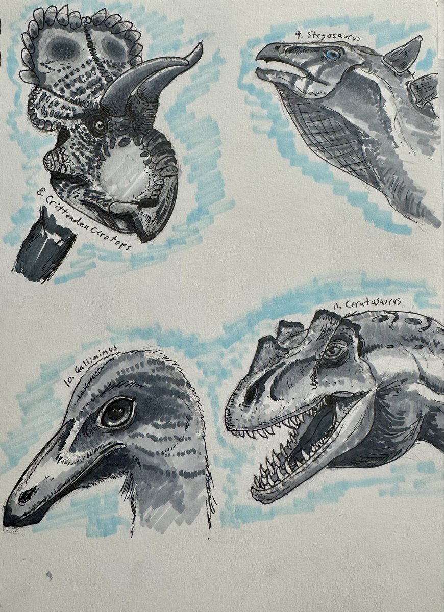 PygmiStudio tweet media