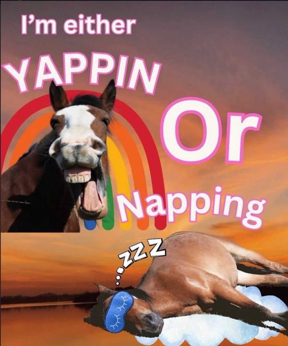 horse (@horseimage) on Twitter photo 