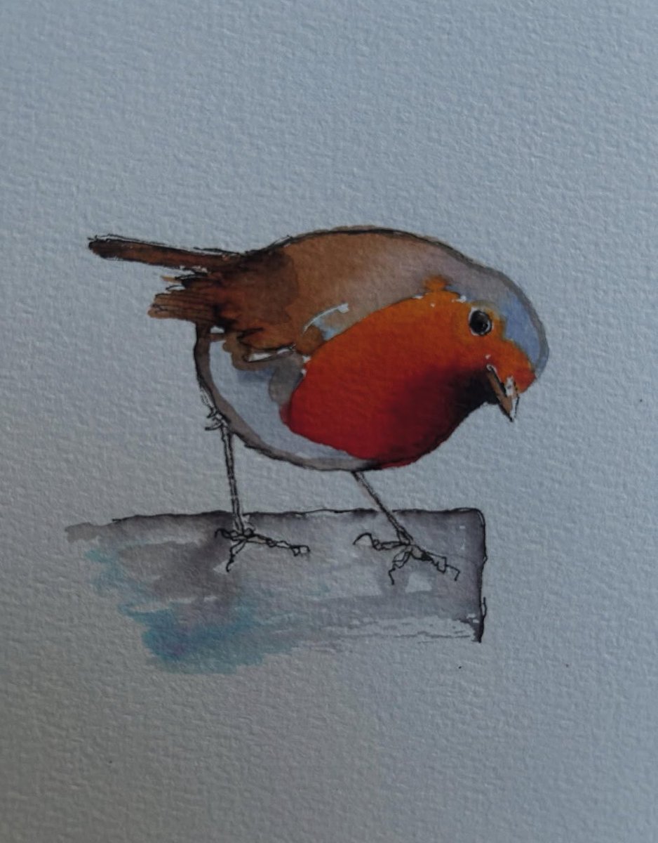Some Robins.