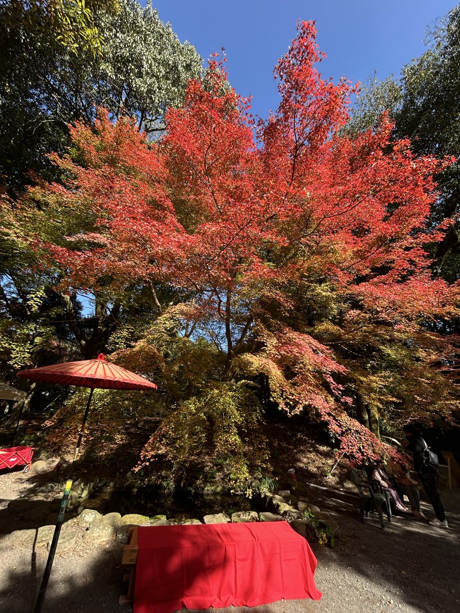 ハイジ (@haiji1010) / Posts / X