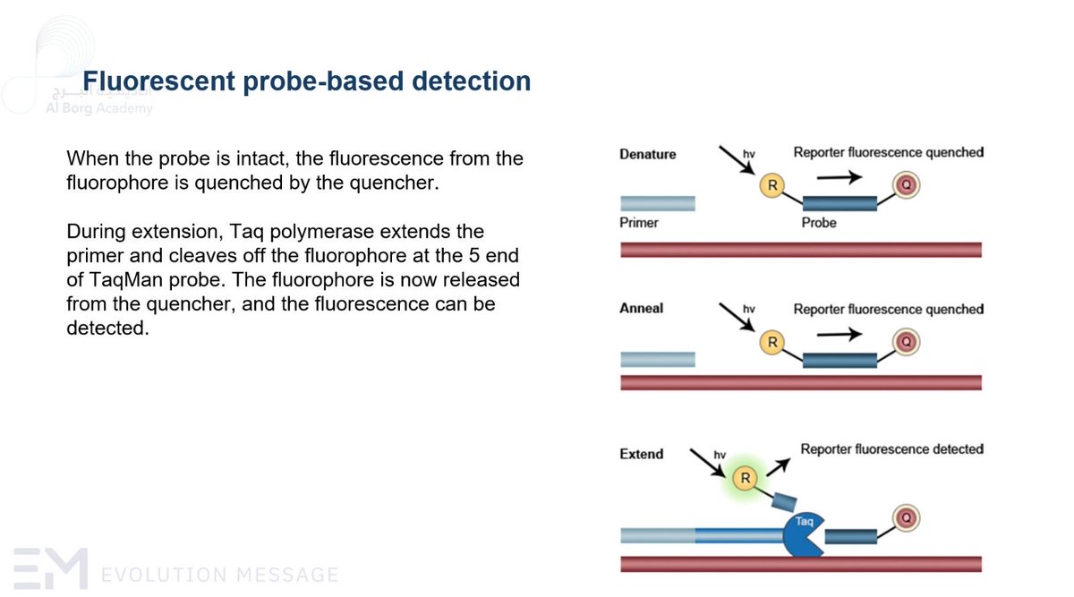 EvolutionMessage tweet media