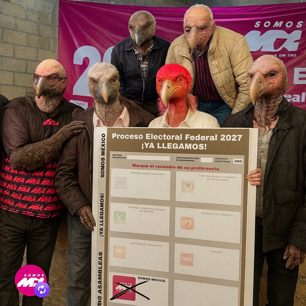 Los zopilotes buscan vivir del erario público