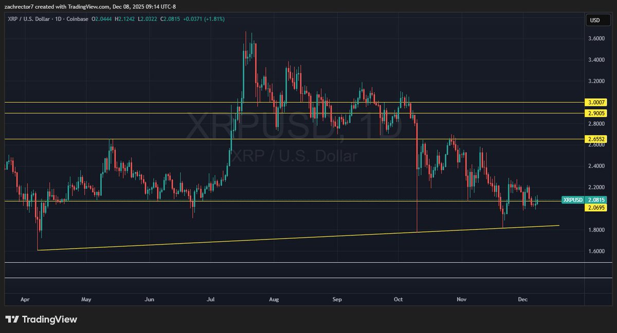 Zach Rector tweet media