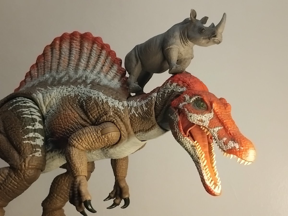 You heard of elf on a shelf, now get ready for