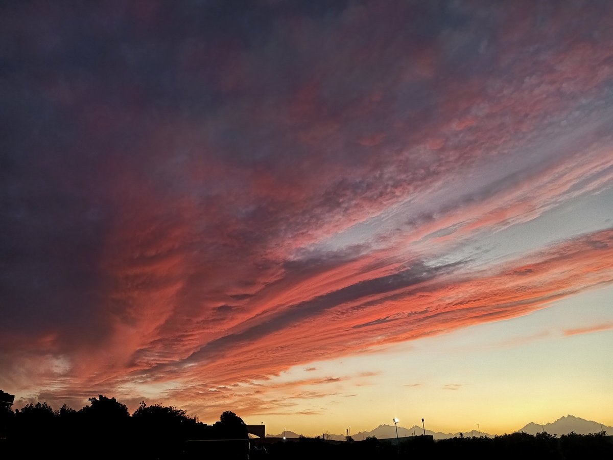 سلفادور دي علي tweet media