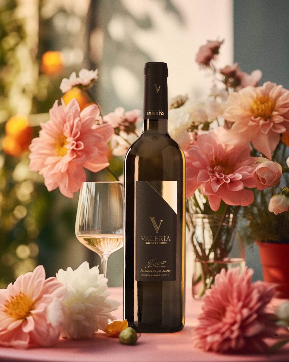 🍇 Semana 50 en <a href="/GaastroSpain/">GastroSpain</a> y viajamos a La Manchuela, donde la luz, la altitud y la memoria familiar se unen en un blanco que sorprende por su carácter y su elegancia. Desde Fuentealbilla, <a href="/BodegaIniesta/">Bodega Andrés Iniesta</a> firma Finca El Carril Valeria.

#vino #wine

gastro-spain.com/vino-de-la-sem…