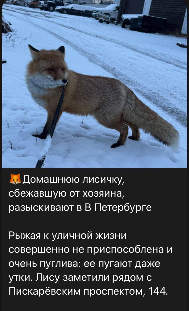 Блять, Серёга