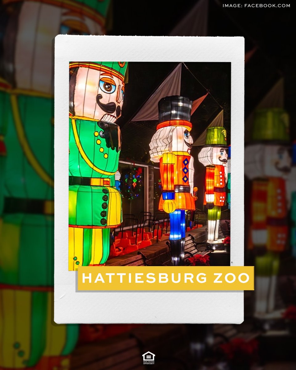 PointOWoodsofMS's tweet image. ✨Experience the magic of the season at #HattiesburgZoo's Lights of the Wild happening now! Dazzling displays and festive fun for everyone. Visit hattiesburgzoo.com for details.