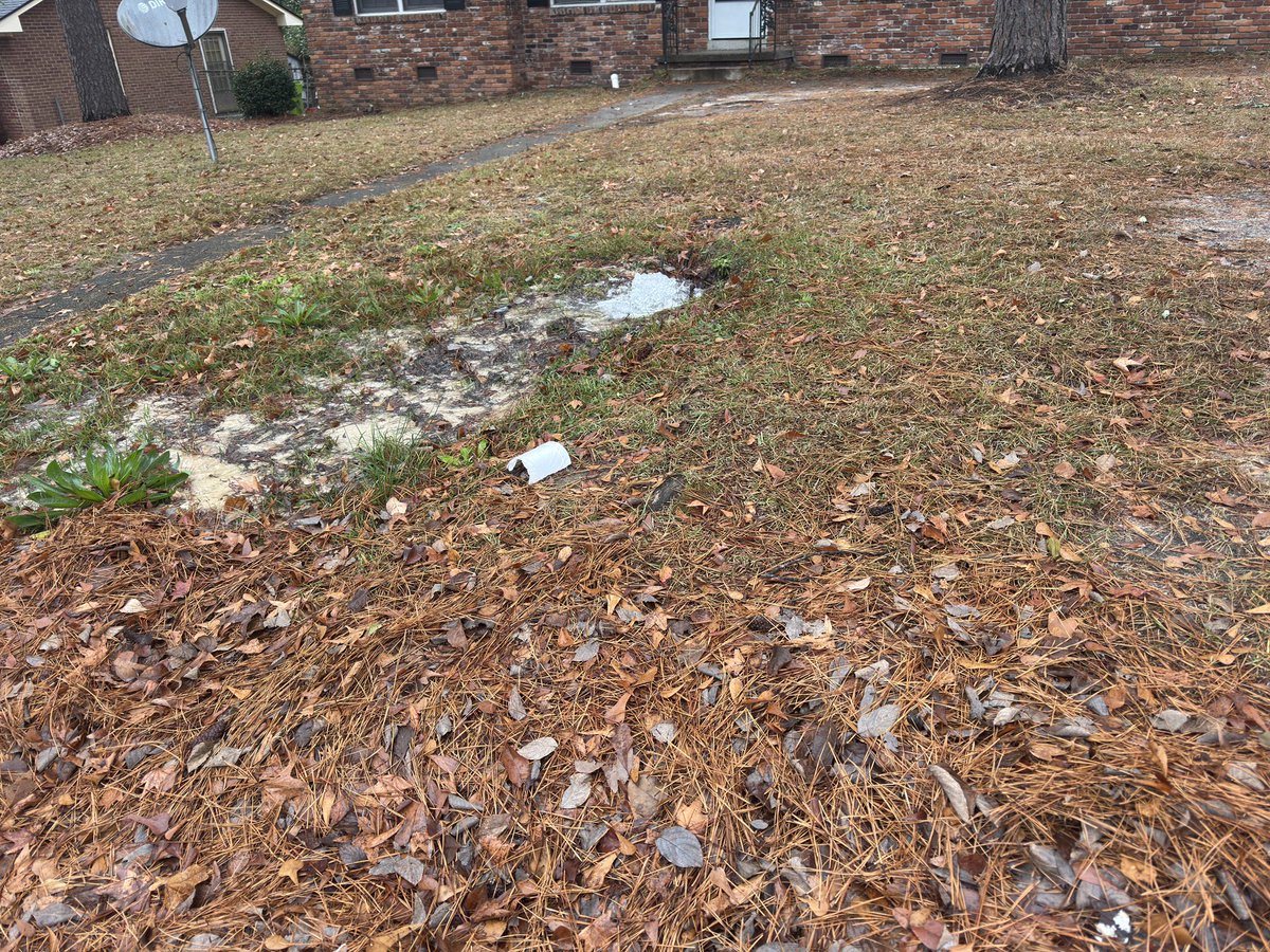 Braulis Pimentel tweet media