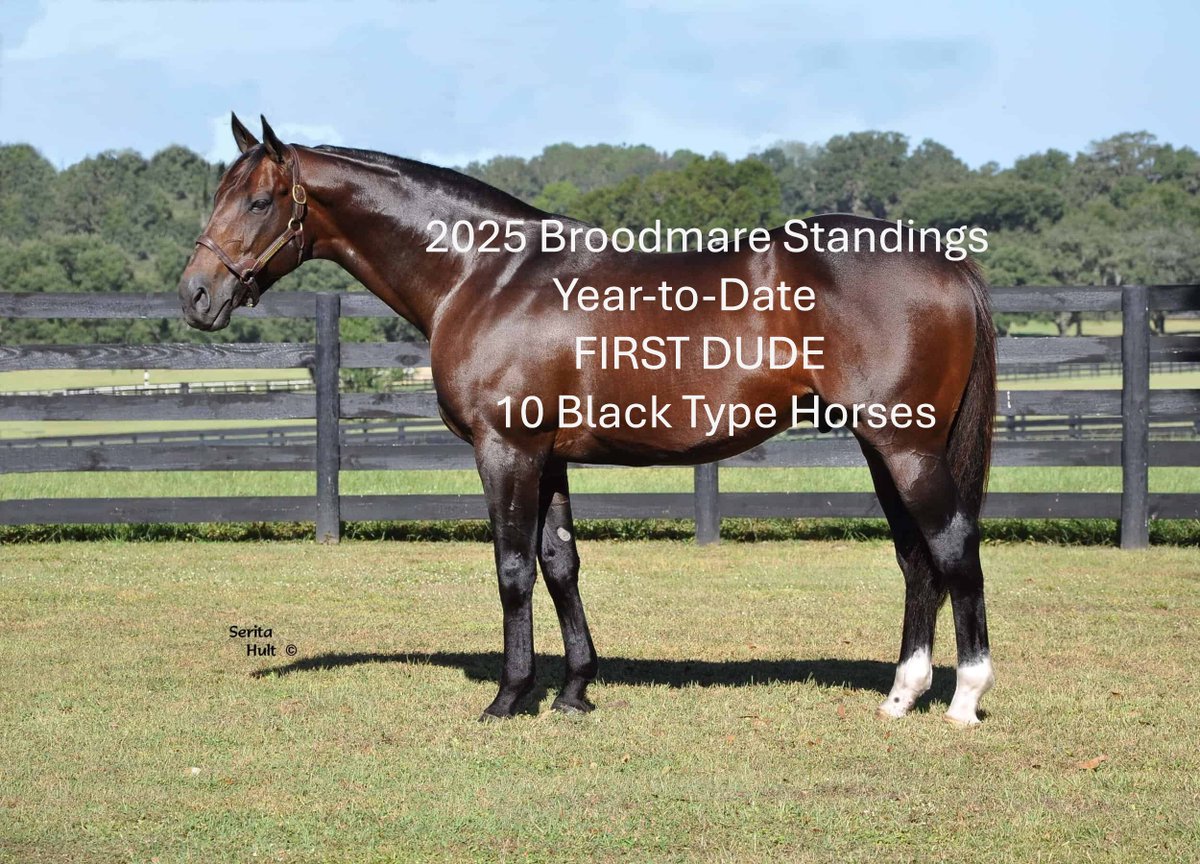 First Dude tweet media