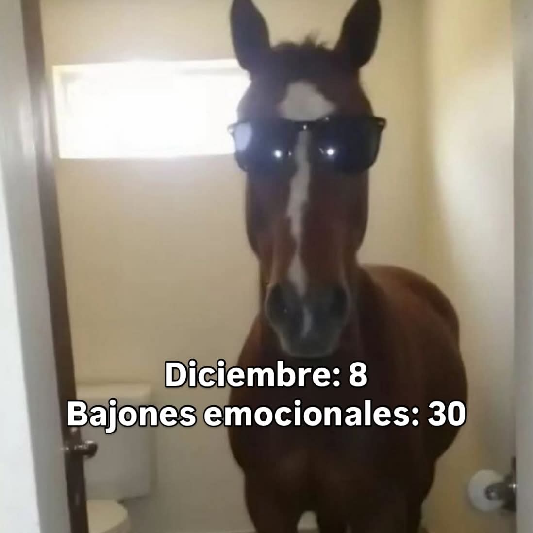 nxstypxet's tweet image. 