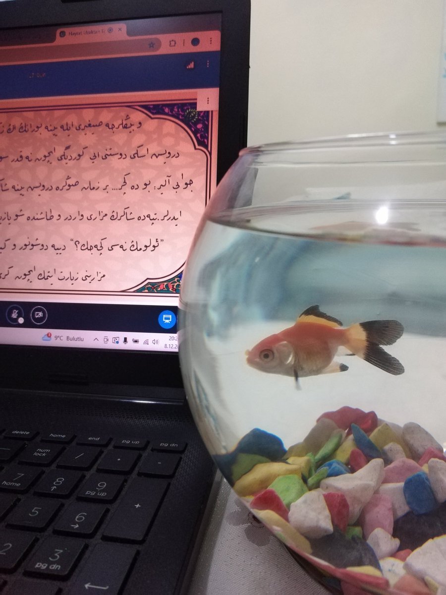 Başarı için ilmin adımları 
Dinlemek - işitmek
Sessiz olmak
Ezberlemek
İdrak etmek, anlamak
Başkalarına aktarmak
#Pazartesi