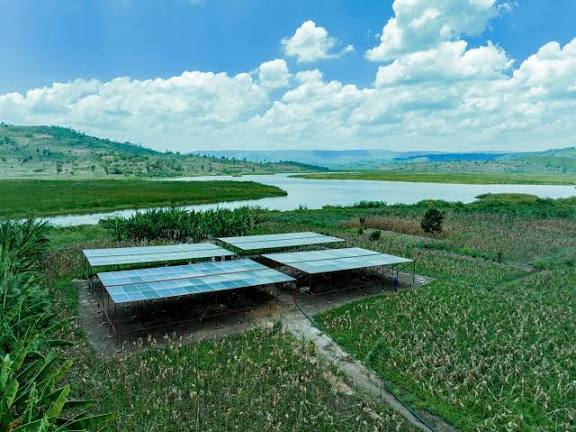 NKINDIPatrik's tweet image. Muraho @KireheDistrict

Mu Gisaka ni heza pe! Nejejwe no kongera kubasura!
Ndongera nterere akajisho ku bikorwa bigamije kurengera ibidukikije bya #NAP na #LCDF3 kwa @REMA_Rwanda
Uwasuhuza na @NzirabatinyaMo4 munywanyi wanjye ra! Nimva I #Musaza ndisunga @VisitKirehe bampe kamwe.