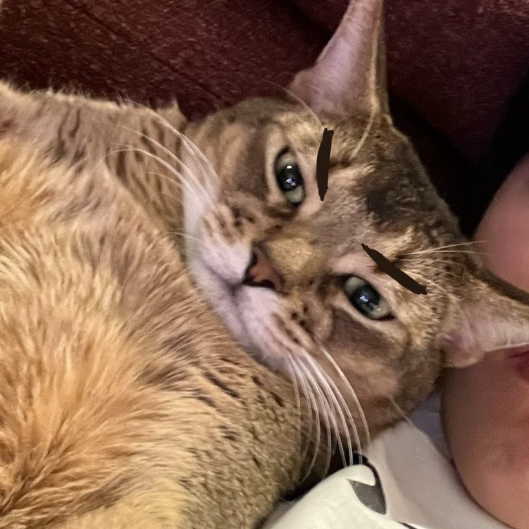 เป็นอีกวันที่อยู่ดีๆก็มีประเด็น