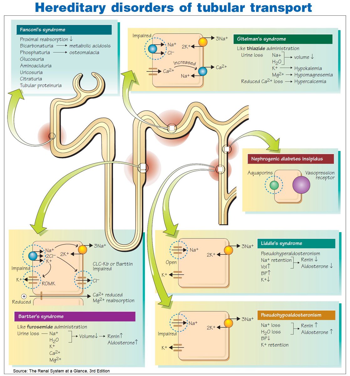 Abdelhamid Hamdy (@abdelhamed012) on Twitter photo 
