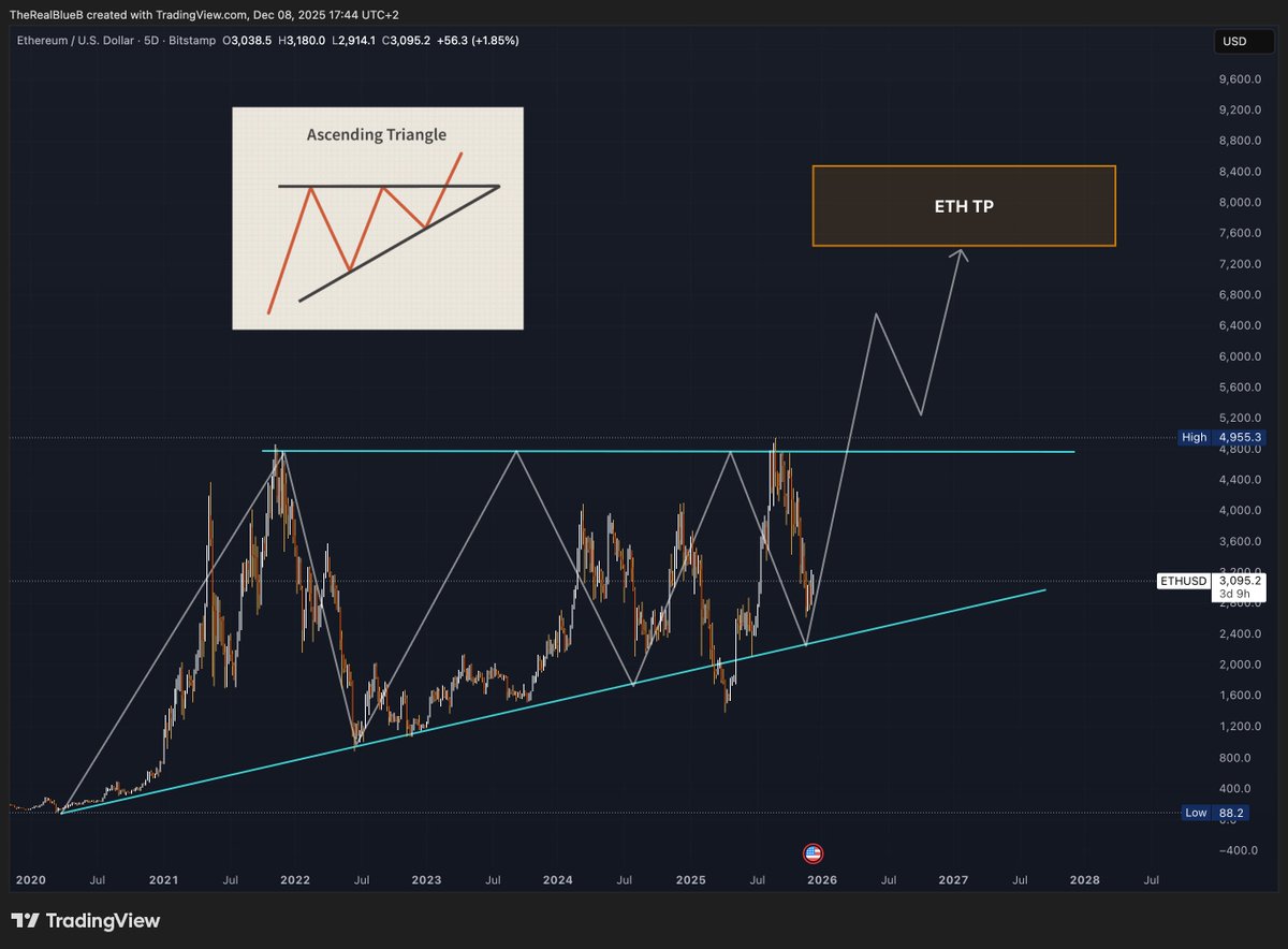 BLUE BIRD tweet media