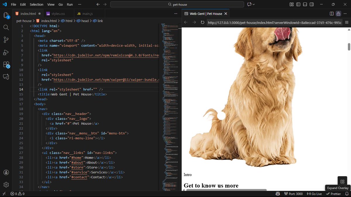 webgent_studio's tweet image. Evening work session — building a Pet House website.
I’ll drop the final result tomorrow.
What are you building tonight?
If you need a clean website for your business, my DMs are open.🙂☕
#WebDevelopment #WebsiteDesign #Frontend #Nextjs #100Devs #JavaScript