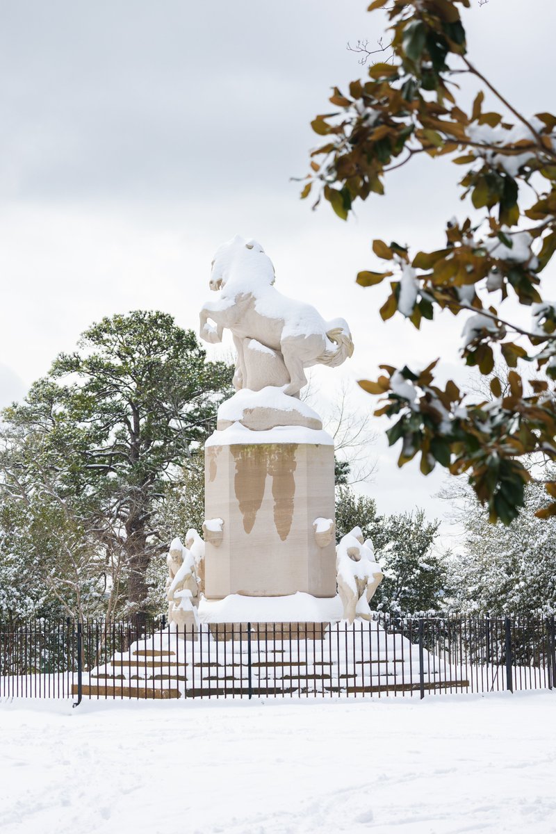 The Mariners’ Museum and Park tweet media