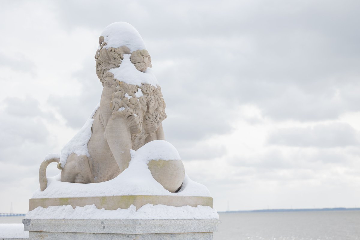 The Mariners’ Museum and Park tweet media