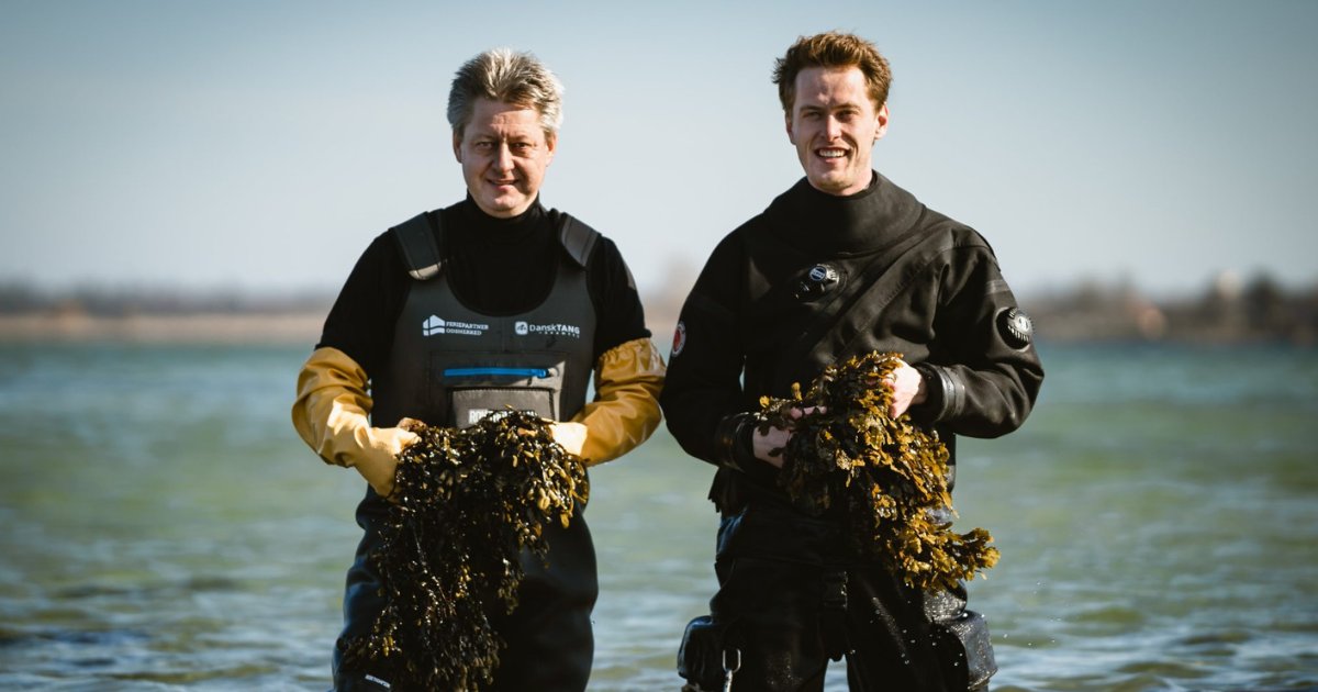 Blue_Parallel's tweet image. Experience Scandinavia behind closed doors, with our NEW insider journey through Copenhagen, Stockholm &amp;amp; Oslo: zurl.co/dRxKd 

Enjoy exclusive after-hours access experiences, private encounters with local artists and designers, and immersive culinary experiences.