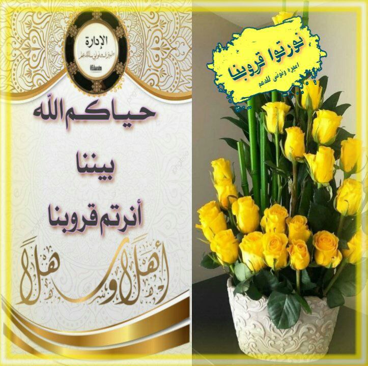 اهلا وسهلا...🌹

مرحبـا ترحيبـةٍ ترقـا سنـود
و أهلا هلا باللي لهم قدرٍ و شان

يا مرحبا و عـداد هلاّت الرعـود
بضيوفنا و أحبابنا و أهل المكان

حــــــيـــــاك اللہ 💐

الانيقه : ⁧#غنوه✨

<a href="/ffrosah/">غنوة 💜</a> 

انرت القروب ✨

 🎖⁧#أميره_ونوني_للدعم⁩ 🎖