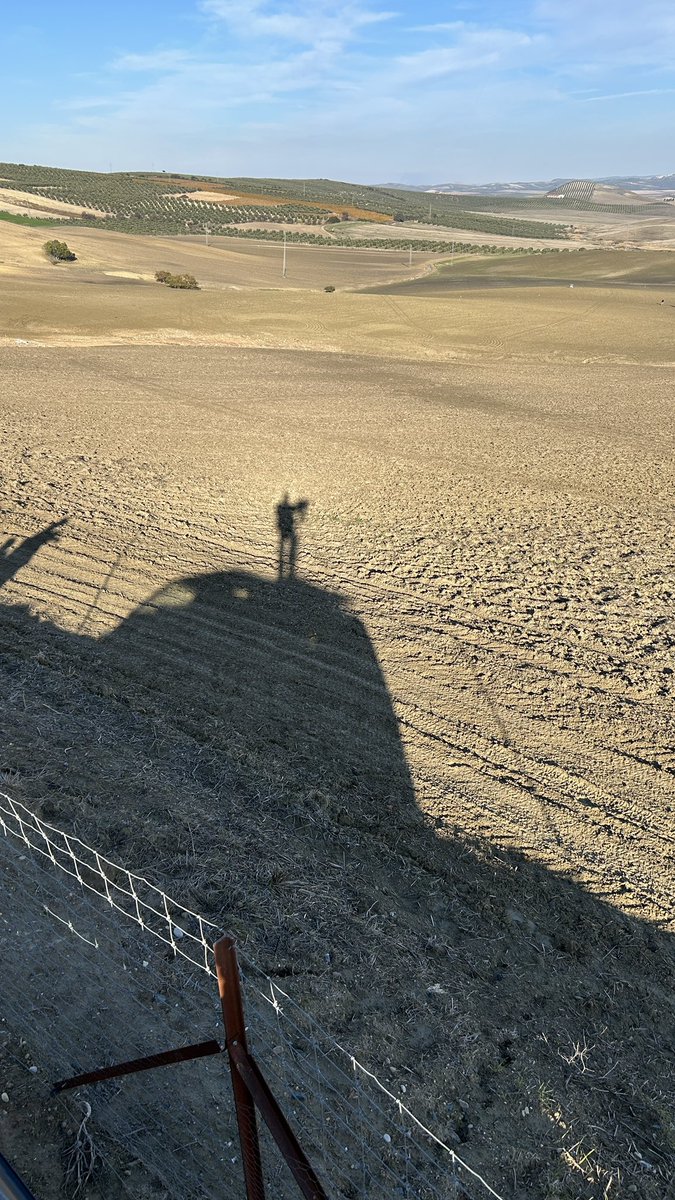 Hoy el corredero estaba en mejores condiciones que ayer y hemos podido grabar muy buenas carreras.