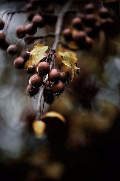 d'Alsace, 
bonne soirée à tous 😊🌟