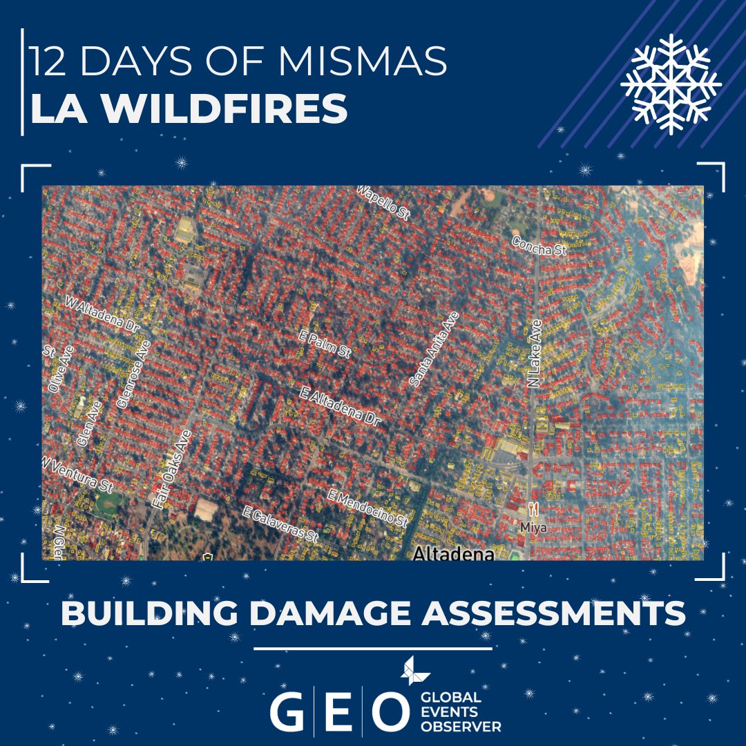 McKenzie Intelligence Services (MIS) tweet media