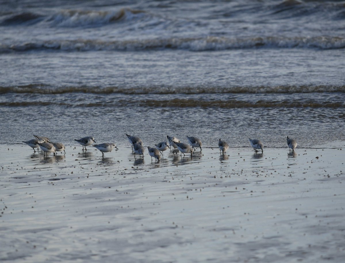 Gary Flakes tweet media