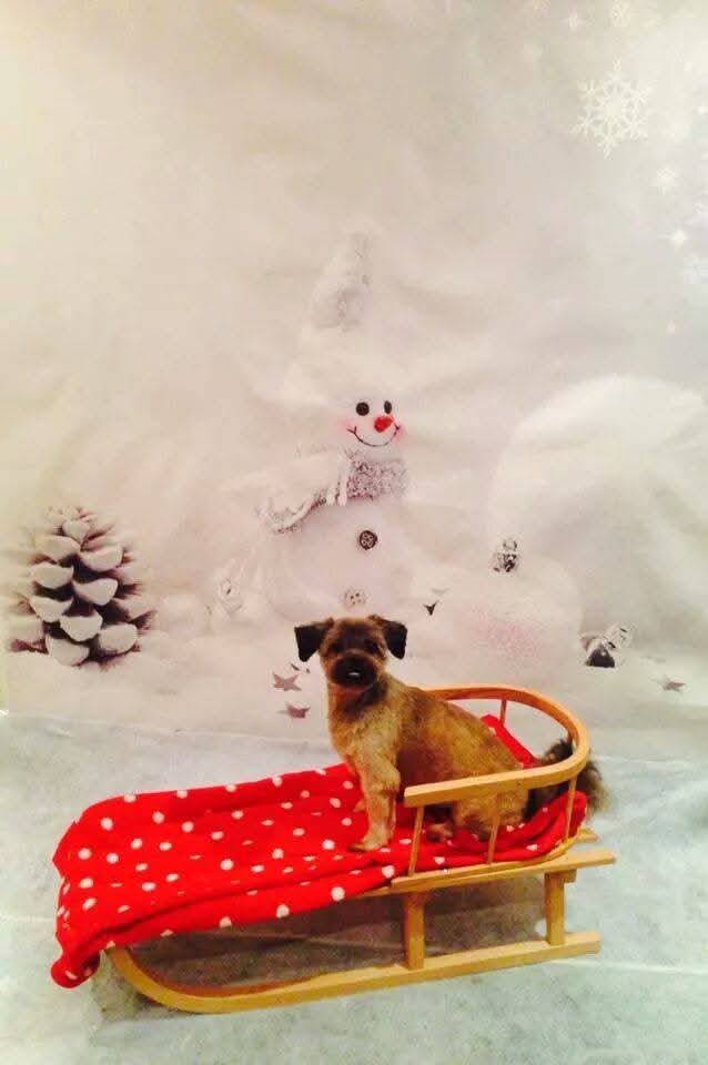 11 years ago, miss you Santa Cruz.....💔