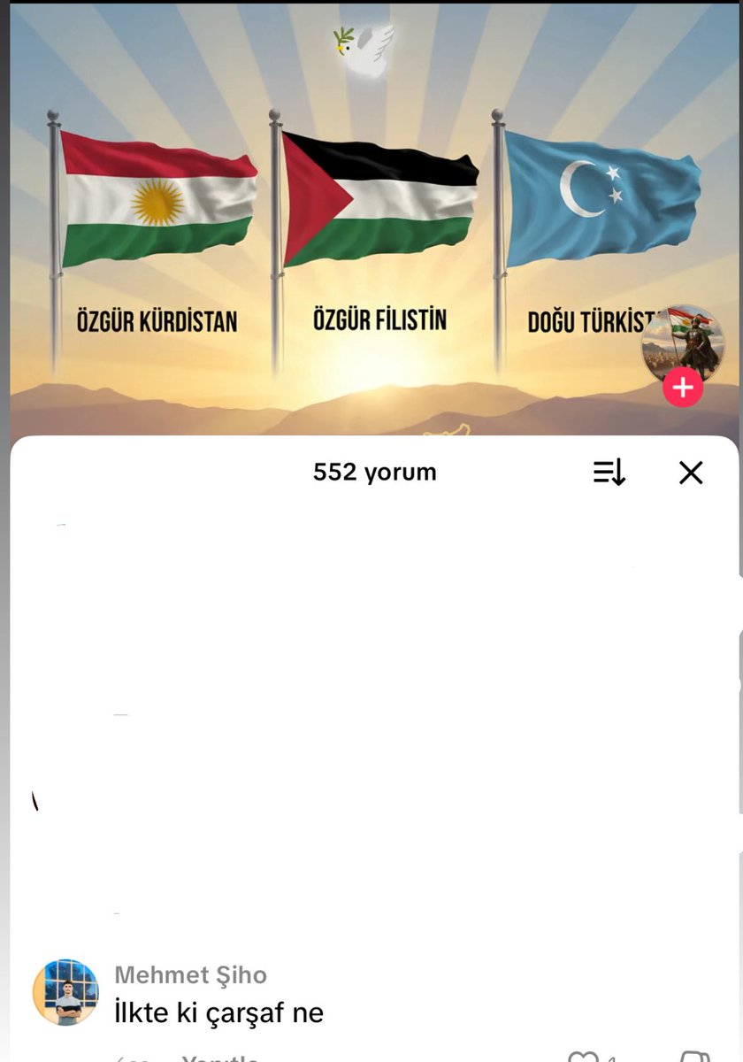 ALİ ÇEVEN tweet media