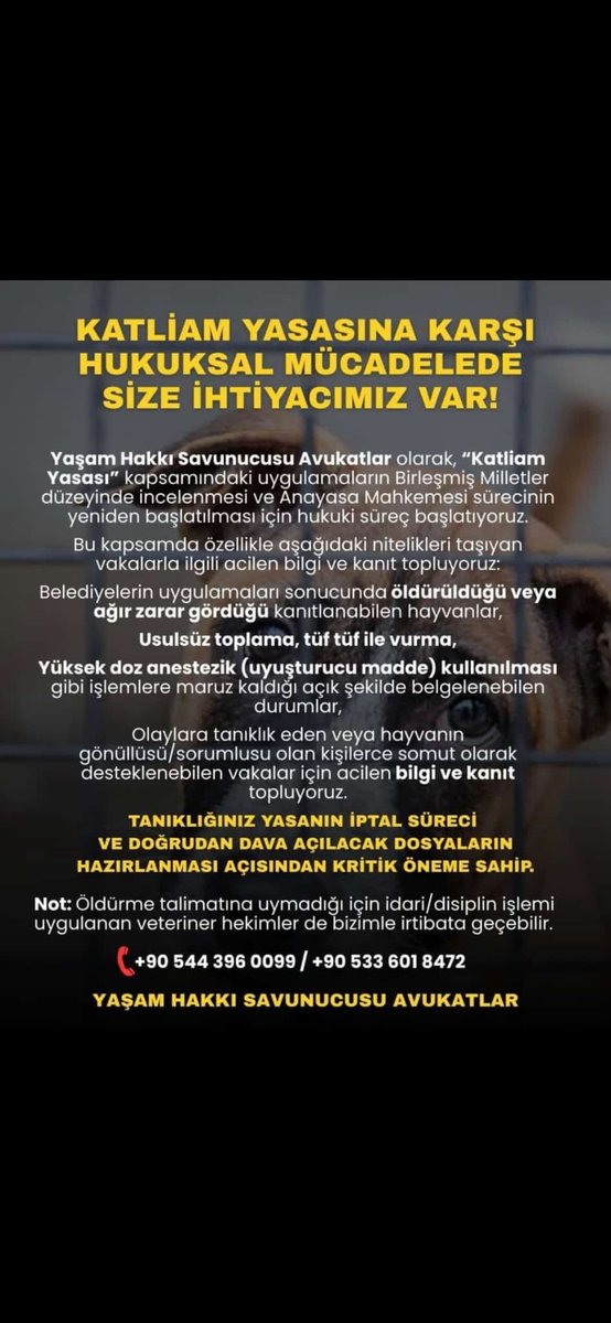 angeloforient's tweet image. #ZulmeOrtakOlmayacağız #ZulmeOrtakOlmayacağım #SokakHayvanlarıSahipsizDeğil #katliamadurde #besleyeceğiz #BeslemeYasaklanamaz #stopthekilling #Hayvanlaradokunma #YasanızıdaYasaklarıdaTanımıyoruz  #yaşamhakkıengellenemez #KatliamaSessizKalma  #kısırlaştıraşılatyerindeyaşat
