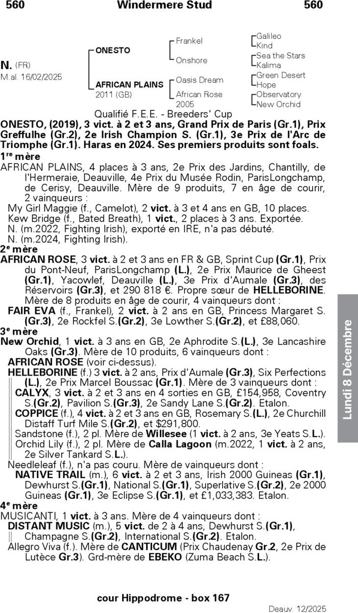 Ander Suescun Ochandorena tweet media