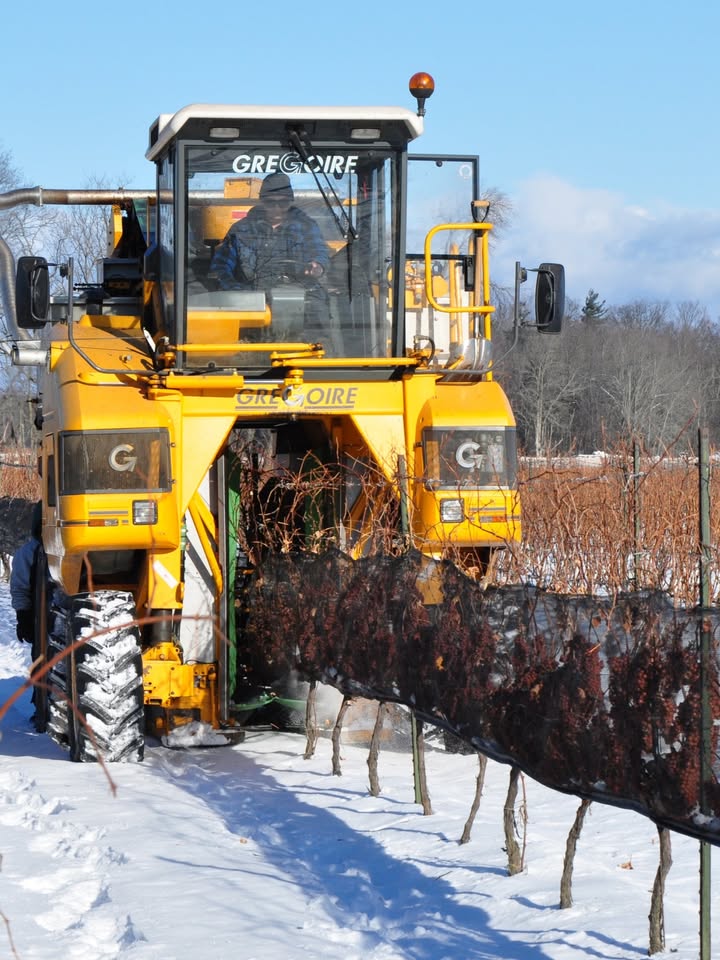 Henry of Pelham tweet media