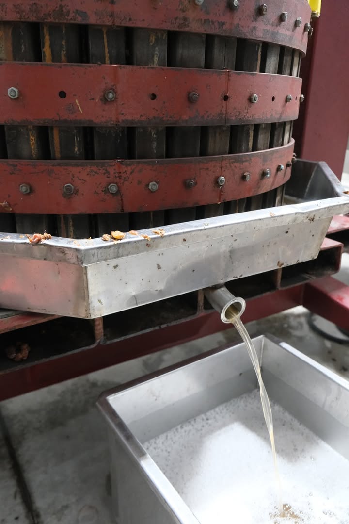 Henry of Pelham tweet media