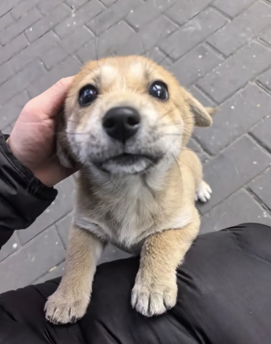 twaniimals's tweet photo. https://t.co/mHik7mE9aS