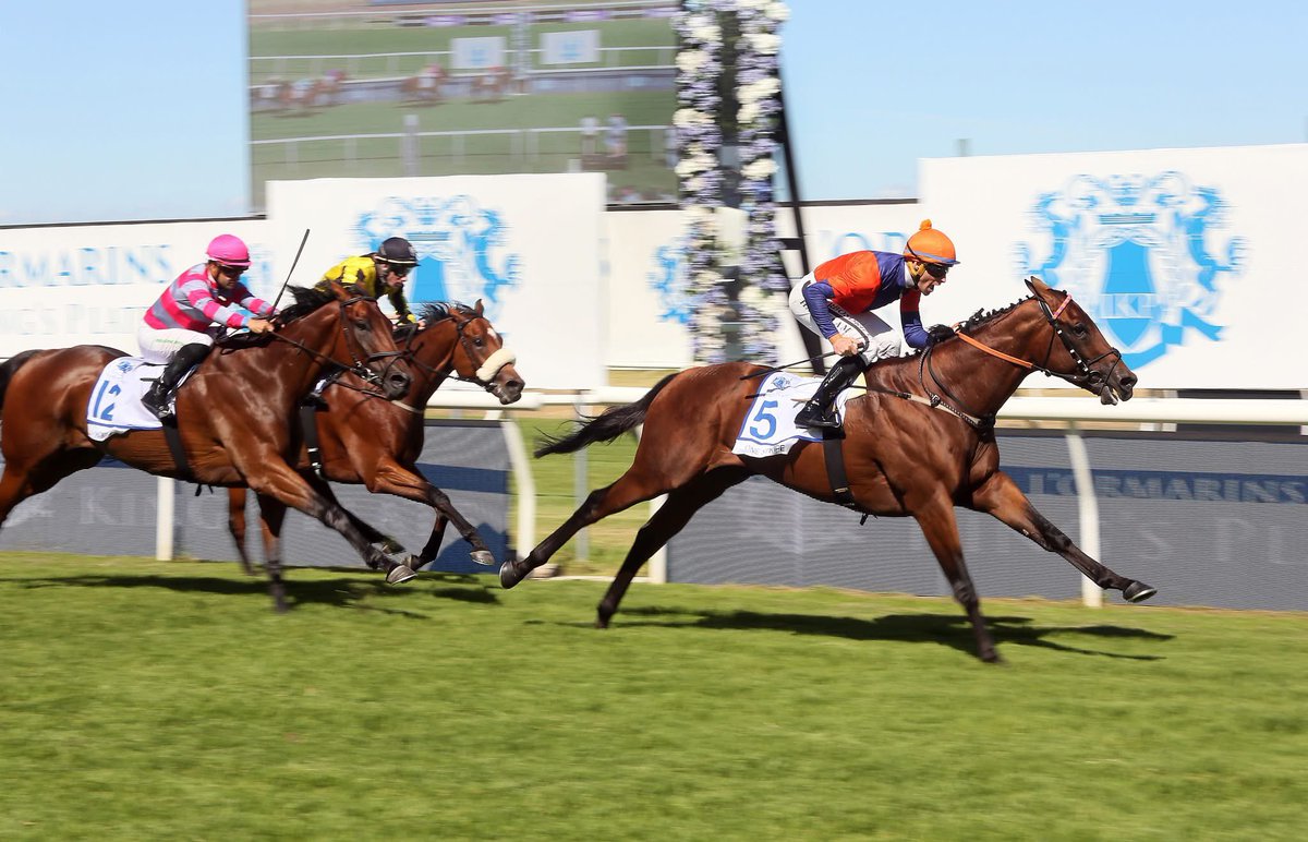 In an exciting initiative, the World Pool Cape Flying Championship (WFA) Grade 1, will take place for its inaugural debut running at #LKP on Saturday, 10th of January. 

Book your ticket on Computicket so you don't miss out: computicket.com/event/lormarin…
.
#LKP2026 #LOrmarins #165LKP