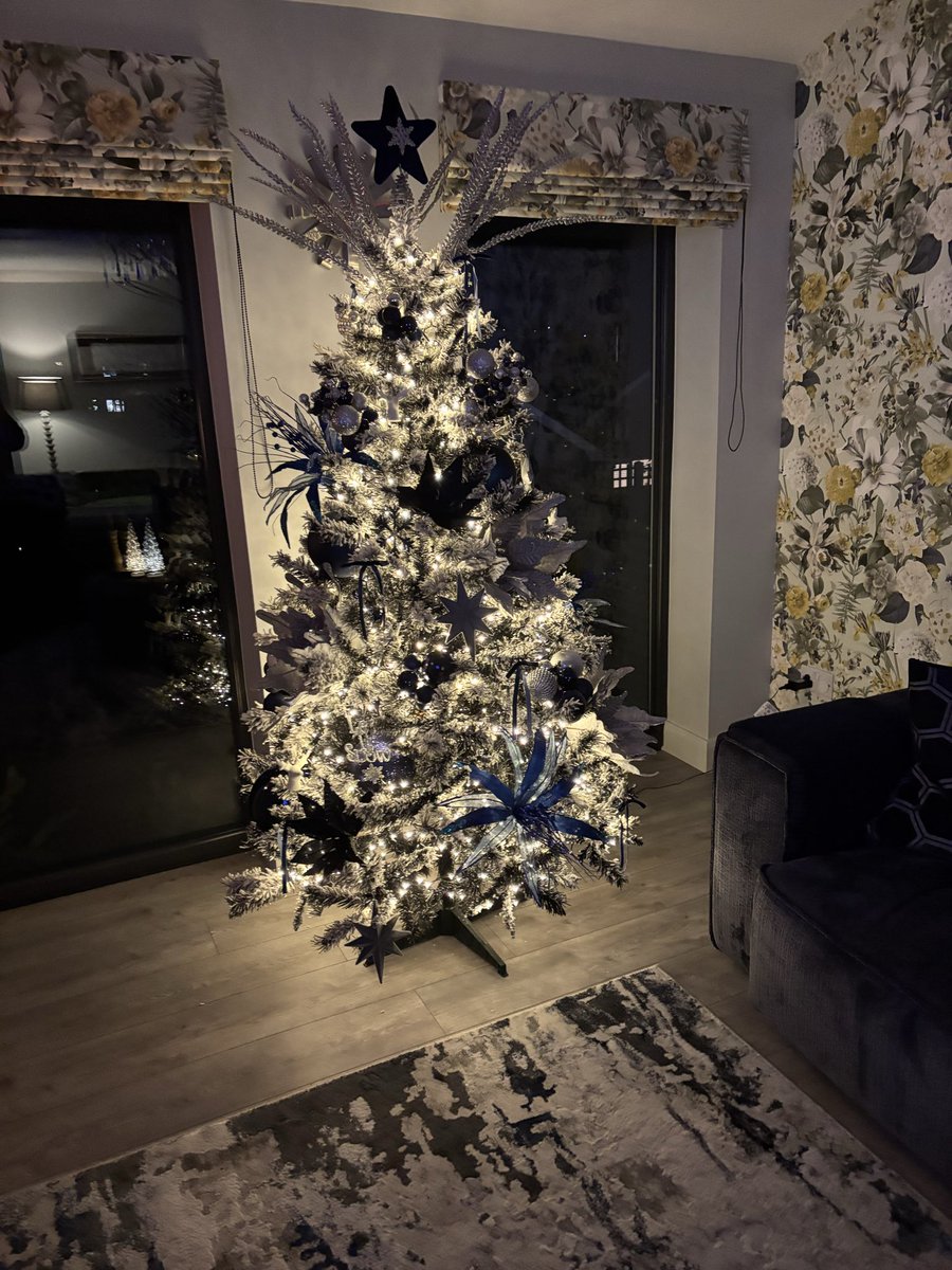 v4jhm's tweet photo. I’ve had my tree up since November &amp; i don’t care! I love her 🌲 https://t.co/WpLeYXzlvB