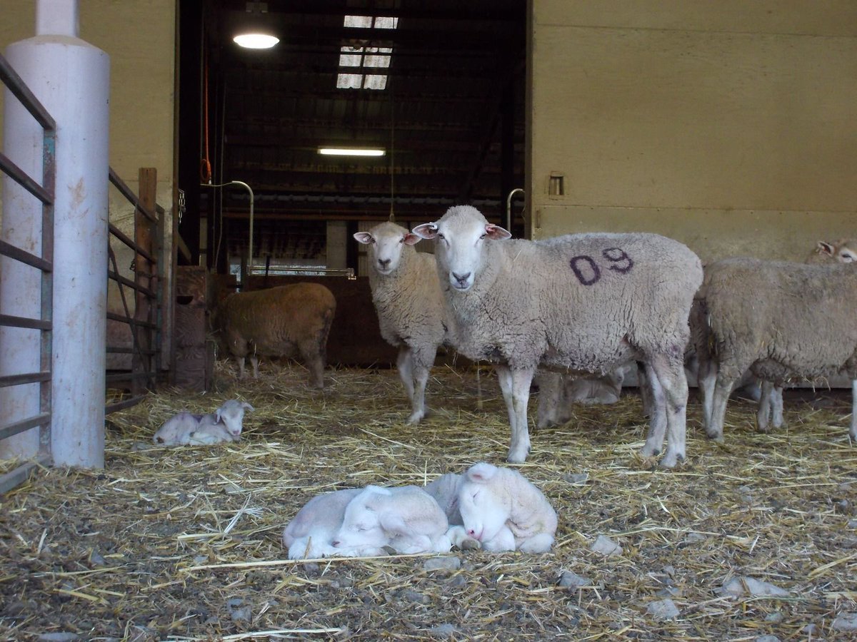 Hopland Research and Extension Center tweet media