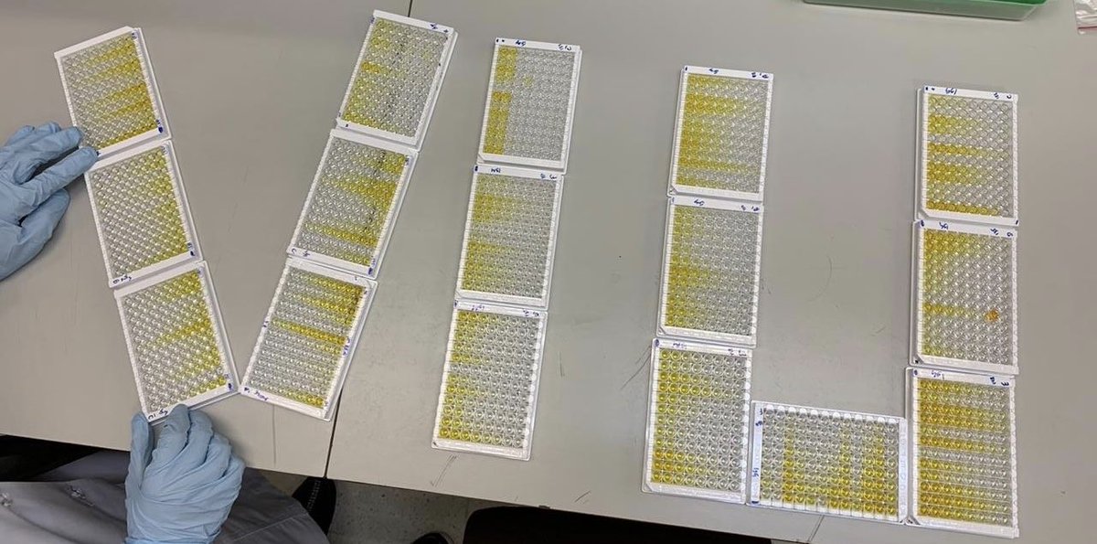 🌟 تسليط الضوء على خريجي VIU
أسلط هذا الأسبوع الضوء على د. سوسن سلطان العمري (<a href="/sawsanamri/">Sawsan Alamri</a>)، التي تدربت في وحدة اللقاحات والعلاجات المناعية @VIU تحت اشرافي بين 2019–2022 كباحث مساعد وطالبة دكتوراه. خلال وجودها في الوحدة، شاركت في مشاريع بحثية متقدمة لتطوير لقاحات واختبارات مصلية